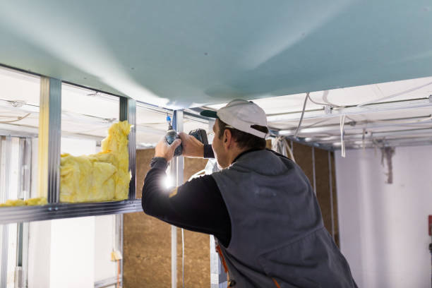 Best Spray Foam Insulation  in Warrenvle, IL